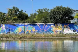 Các tác phẩm bích họa khổng lồ và tranh vẽ trên tường các tòa nhà, ở chân các cây cầu bê tông mang lại một nét đẹp độc đáo cho Street Art Avenue. (Ảnh: Thu Hà/TTXVN)