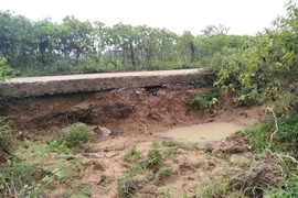 (Ảnh minh họa: TTXVN phát) 