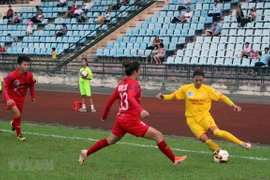 (Ảnh: Đại Nghĩa/TTXVN) 