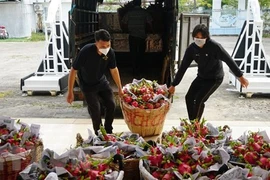 Thúc đẩy tiêu thụ nông sản, chống khai thác hải sản bất hợp pháp