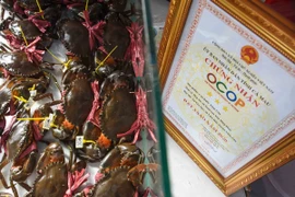 Cua biển Năm Căn, sản phẩm OCOP của tỉnh Cà Mau. (Ảnh: Huỳnh Anh/TTXVN)