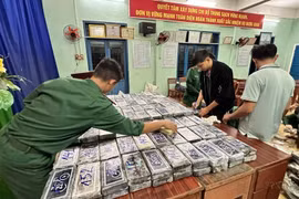 Tang vật của một vụ án. Ảnh minh họa (Ảnh: TTXVN)