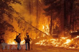 Cháy rừng dữ dội tại California (Mỹ) ngày 23/7. (Ảnh: AFP/TTXVN)