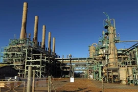 Ảnh minh họa (Nguồn: AFP/TTXVN)