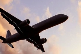 Ảnh minh họa (Nguồn: TTXVN)