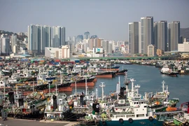 Cảng hàng hóa ở Busan (Hàn Quốc). (Ảnh: THX/TTXVN) 