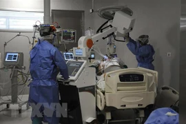 Ảnh minh họa (Nguồn:TTXVN)