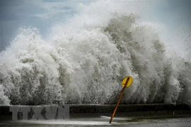 Bão Norma mạnh lên, hướng tới bán đảo Baja California của Mexico