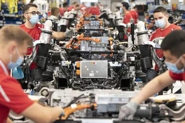 Ảnh minh họa.(Nguồn: TTXVN)