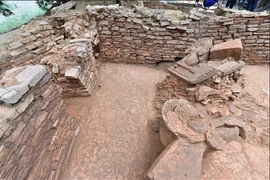 Di chỉ khảo cổ Panamarca. (Nguồn: Reuters)