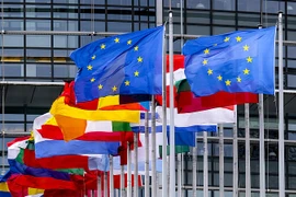 Cờ của các nước trong khu vực sử dụng đồng Euro( Eurozone) - (Nguồn: AFP/TTXVN)