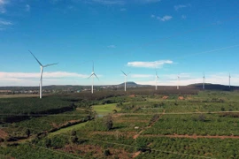 Năng lượng gió. (Ảnh: Vũ Sinh/TTXVN) 