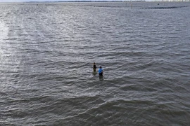 Ảnh minh họa.(Nguồn: GettyImages)