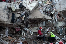 Lực lượng cứu hộ và tình nguyện viên tìm kiếm các nạn nhân dưới đống đổ nát sau động đất ở tỉnh Izmir, Thổ Nhĩ Kỳ ngày 31/10/2020. (Nguồn: AFP/TTXVN)