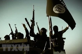 Saudi Arabia kêu gọi các nước giàu tiếp nhận lại thành viên IS