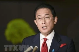 Thủ tướng Nhật Bản Fumio Kishida. (Ảnh: Kyodo/TTXVN) 