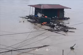 Nhà bè bị nhiều rác, cành cây, gỗ trôi từ phía thượng nguồn về mắc vào xung quanh, dưới gầm, tạo thành mảng lớn. (Ảnh: TTXVN)