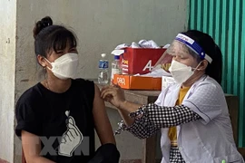 (Ảnh: Công Thử/TTXVN)