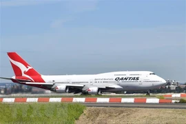 Máy bay của hãng hàng không Qantas Airways tại sân bay Sydney, Australia. (Nguồn: AFP/TTXVN) 