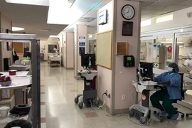 Ảnh minh họa (Nguồn: AFP/TTXVN)