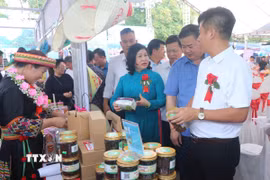 Ảnh chỉ mang tính minh họa. (Nguồn: TTXVN)