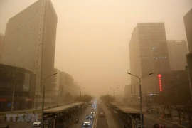 Ảnh minh họa (Nguồn: AFP/TTXVN)