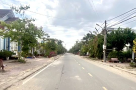 Khu A dự án Đông Bắc. (Nguồn: thanhnien.vn) 