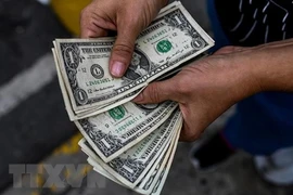 Đồng USD. (Nguồn: AFP/TTXVN) 