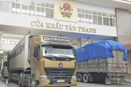 Xuất nhập khẩu hàng hóa tại cửa khẩu Tân Thanh, Lạng Sơn. (Ảnh: Vietnam+) 