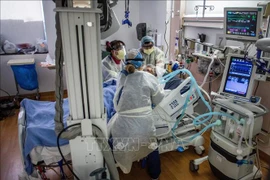 Nhân viên y tế điều trị cho bệnh nhân COVID-19 tại bệnh viện ở Tarzana, California, Mỹ. (Ảnh: AFP/TTXVN)