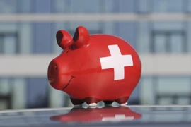 Ảnh minh họa. (Nguồn: Global Look Press) 