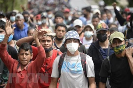 Người di cư Honduras di chuyển tại Camotan, Guatemala trong hành trình tới Mỹ. (Ảnh: AFP/TTXVN) 