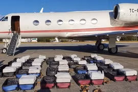 Senegal thu giữ hơn 800kg cocaine ngoài khơi thủ đô Dakar