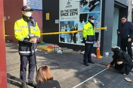 (Ảnh: Khánh Vân/TTXVN)