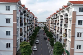 Ảnh minh họa. (Nguồn: Tuấn Anh/TTXVN) 