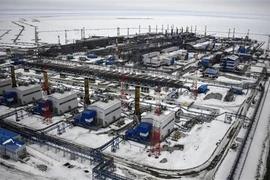 Ảnh minh họa (Nguồn: AFP/TTXVN)