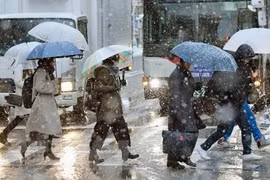 Tuyết rơi dày đặc tại Tokyo, Nhật Bản (Nguồn: Kyodo/TTXVN)