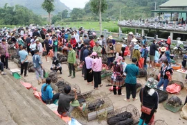Khu vực chợ lợn San Thàng nhộn nhịp người bán, người mua. (Ảnh: Nguyễn Oanh/TTXVN)