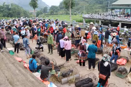 Khu vực chợ lợn San Thàng nhộn nhịp người bán, người mua. (Ảnh: Nguyễn Oanh/TTXVN)