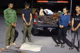 Bắt giữ nhóm đối tượng trộm cắp cáp điện trên cao tốc Vân Đồn-Móng Cái.(Nguồn: HT)