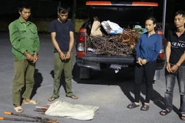 Bắt giữ nhóm đối tượng trộm cắp cáp điện trên cao tốc Vân Đồn-Móng Cái.(Nguồn: HT)