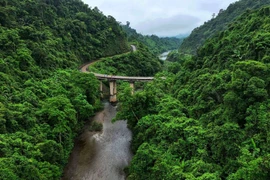 Ảnh minh họa. (Nguồn: TTXVN)