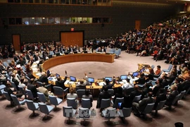 Một phiên họp của Hội đồng Bảo an Liên hợp quốc. (Ảnh: Tư liệu TTXVN)