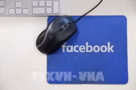 Ảnh minh họa (Nguồn: AFP/TTXVN)
