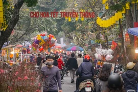 Dù Hà Nội có rất nhiều chợ hoa nổi tiếng khác nhau, song với những ai thích hoài niệm một cái Tết xưa thì chợ hoa phố cổ Hàng Lược vẫn là điểm mua sắm không thể bỏ qua trong những ngày giáp Tết. (Ảnh: Minh Hiếu/Vietnam+) 