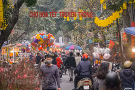 Dù Hà Nội có rất nhiều chợ hoa nổi tiếng khác nhau, song với những ai thích hoài niệm một cái Tết xưa thì chợ hoa phố cổ Hàng Lược vẫn là điểm mua sắm không thể bỏ qua trong những ngày giáp Tết. (Ảnh: Minh Hiếu/Vietnam+) 