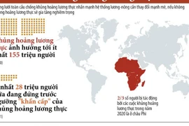 [Infographics] Nguy cơ xảy ra khủng hoảng lương thực toàn cầu
