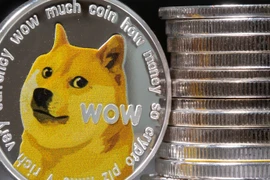 Kabosu, thuộc giống chó Shiba Inu, đã trở thành biểu tượng của Dogecoin. (Nguồn: SkyNews)