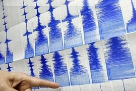 Ảnh minh họa. (Nguồn: QNA) 