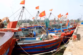 Tàu thuyền neo đậu tại Cảng cá Tân Sơn, huyện Thái Thụy để tránh bão số 3. (Ảnh: Thế Duyệt/TTXVN)